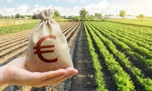 Експосадовця Держрезерву засудили до 6 років тюрми за систематичне вимагання хабарів