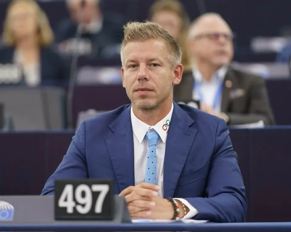 Венгрия и Украина начали переговоры о правах венгров в Закарпатье