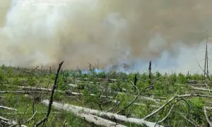 Укрпошта під обстрілом: три авто знищені під час атак дронів