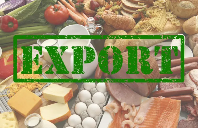 Ukraine has lost a third of its export potential