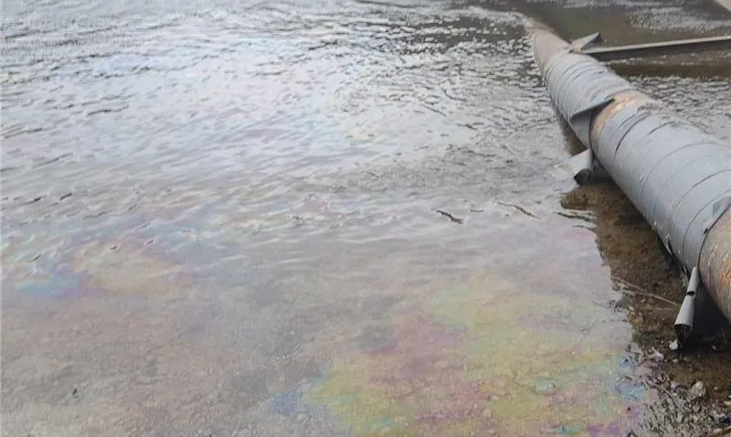 Молдова просить ЄС допомогти рятувати Дністер