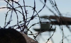 Стало відомо, коли в Україні розпочнеться навчальний рік