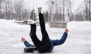 У Києві працюватимуть пункти прийому для утилізації новорічних ялинок: де їх знайти