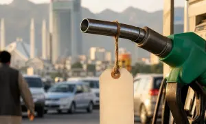 南非将拨款38亿兰特聘用逾3500名社工——《每日观察家报》