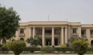 叙利亚限制女性进入安全领域大学就读——德国之声