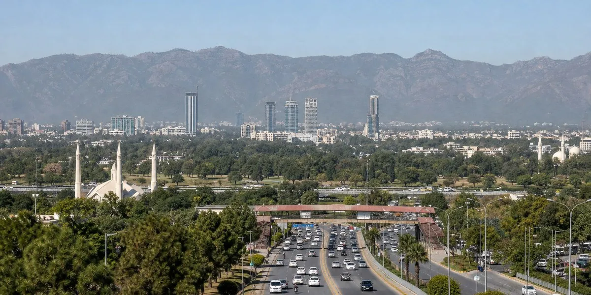 Pakistan Senate subcommittee calls for halt to power distribution companies’ privatization — Dawn