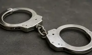 Украина отреагировала на визит австрийских политиков в Крым
