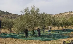 Польша хочет узнать, что на самом деле произошло во время задержания Протасевича