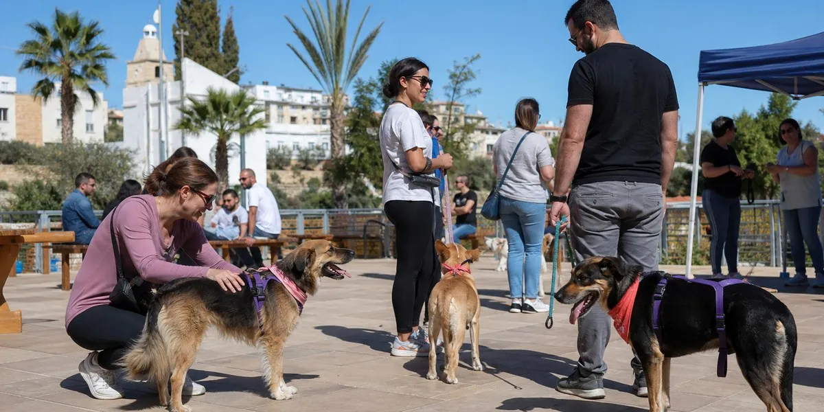 Paphos to host show for shelter dogs looking for homes — Cyprus Mail