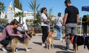 Israelis increasingly buying property in Cyprus — Deutsche Welle