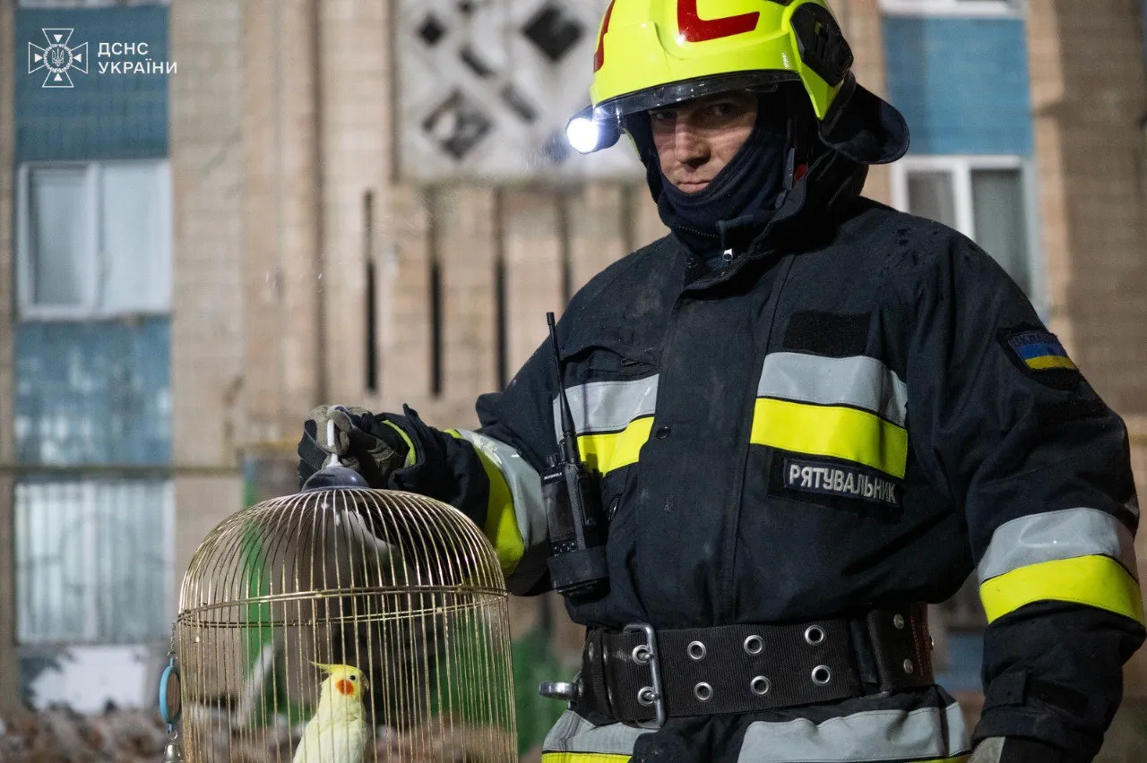 У Тернополі серед руїн зруйнованої рф багатоповерхівки знайшли папугу
