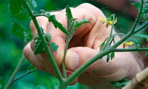 Ретроградні планети у червні 2026: на що варто звернути увагу