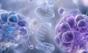 研究人员解释 APOE ε4 如何削弱血脑屏障——ScienceDaily