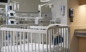 科学家在小鼠中发现眼后部液体流出通路——ScienceDaily