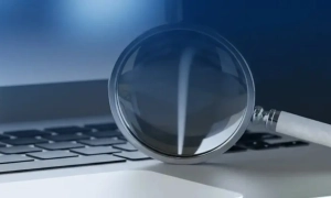 Що задекларувала митник Юлія Дацюк-Перстинчик та чому нею зацікавились правоохоронці