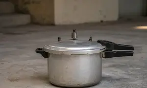 摩洛哥拘留Foxtrot涉嫌成员——《国民报》