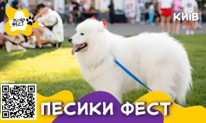 У Держдепі повідомили, хто буде супроводжувати Блінкена під час візиту в Україну