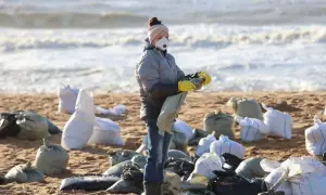 Шольц ответил, почему Германия отказывается от поставок танков Украине 