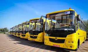 Гослесагентство назвало цены на будущих елочных базарах