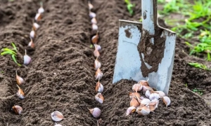 Окупанти обстріляли десятки цивільних об’єктів на Запоріжжі: що відбувається в області