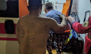 У диких лебедів на Київщині виявили небезпечну хворобу