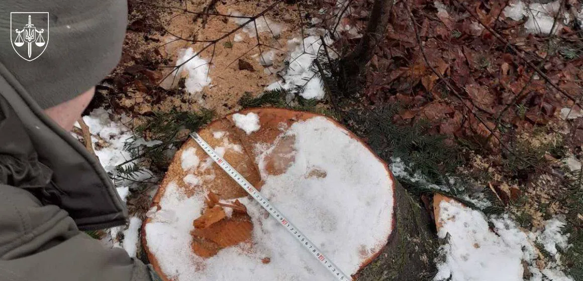 Екскерівника ДСНС вудитимуть за вирубку «Чорного лісу»