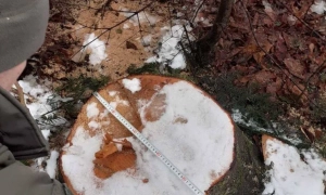 Мінцифри назвало найпопулярніші відкриті бази даних