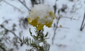 Порошенко затвердив концепцію РНБО про контррозвідку