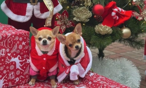 У Києві зросла кількість постраждалих після ракетної атаки рф