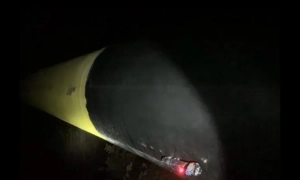 У Брюсселі поліція затримала понад сотню погромників