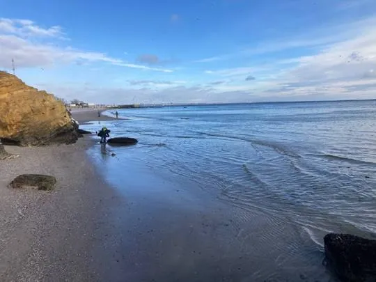 Екологічна ситуація на пляжах Одеси покращилася