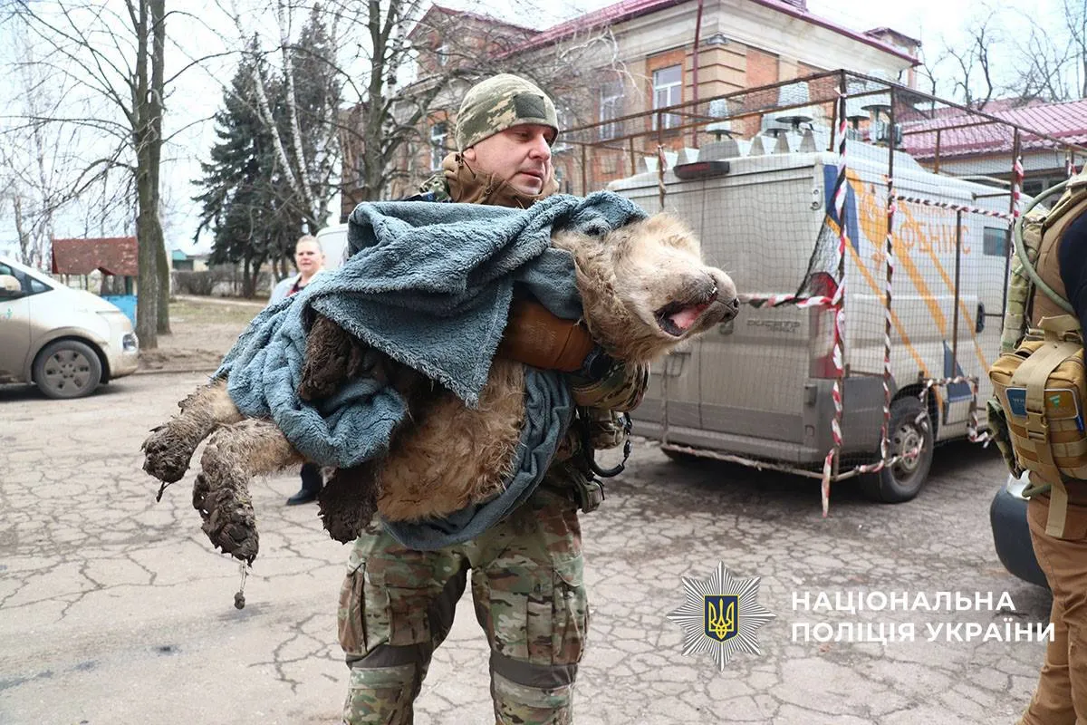 «Білі янголи» врятували покинутого алабая в небезпечному районі Дружківки