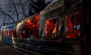 В Україні викрили масштабну контрабанду наркотичного засобу «кратом» із Чехії