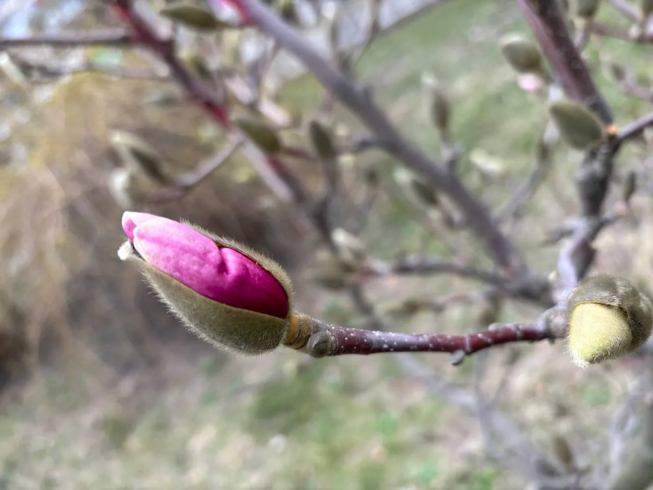 Заморозки та нестабільна погода: синоптики дали прогноз на квітень