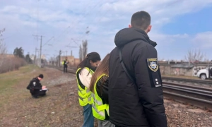 В Киеве спасли ежа, травмированного пластиковым кольцом от бутылки