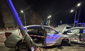 У Києві висадили вдвічі більше тополь на місці зрубаних