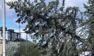 До Києва з візитом прибула очільниця МЗС Словенії