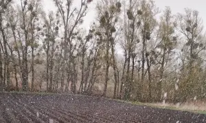 Политика президентов США по Украине: президент МПА Галина Хейло организовала лекцию с Джоном Хербстом