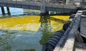 Пенсионерам старше 80 лет начали выплачивать по 500 грн 