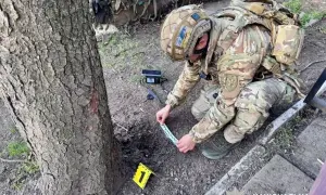 Дівчині, яка жорстоко вбила свого кота, оголосили про підозру