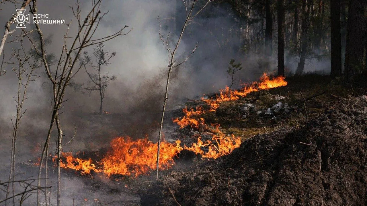 Пожежі у Зоні відчуження охопили понад 1100 гектарів