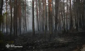 Зеленський підтвердив триденне перемир’я