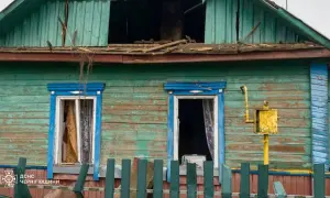 Вночі російська авіація бомбила острів Зміїний