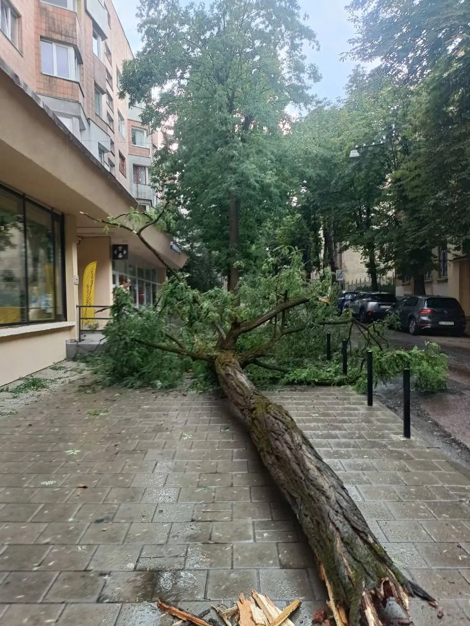 During a storm in Lviv, lightning struck a 6-year-old child