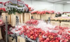 Літак з українськими туристами ледь не розбився у Харкові