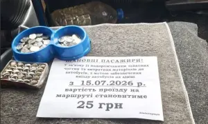 КМДА назвала кількість снігоприбиральної техніки на вулицях Києва