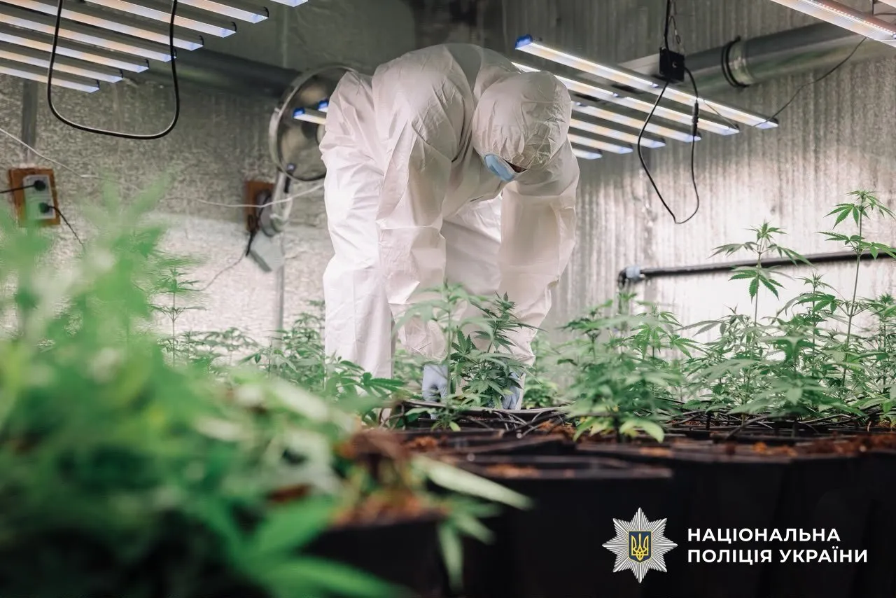 The National Police conducted 435 searches as part of the "Gentlemen-2026" special operation