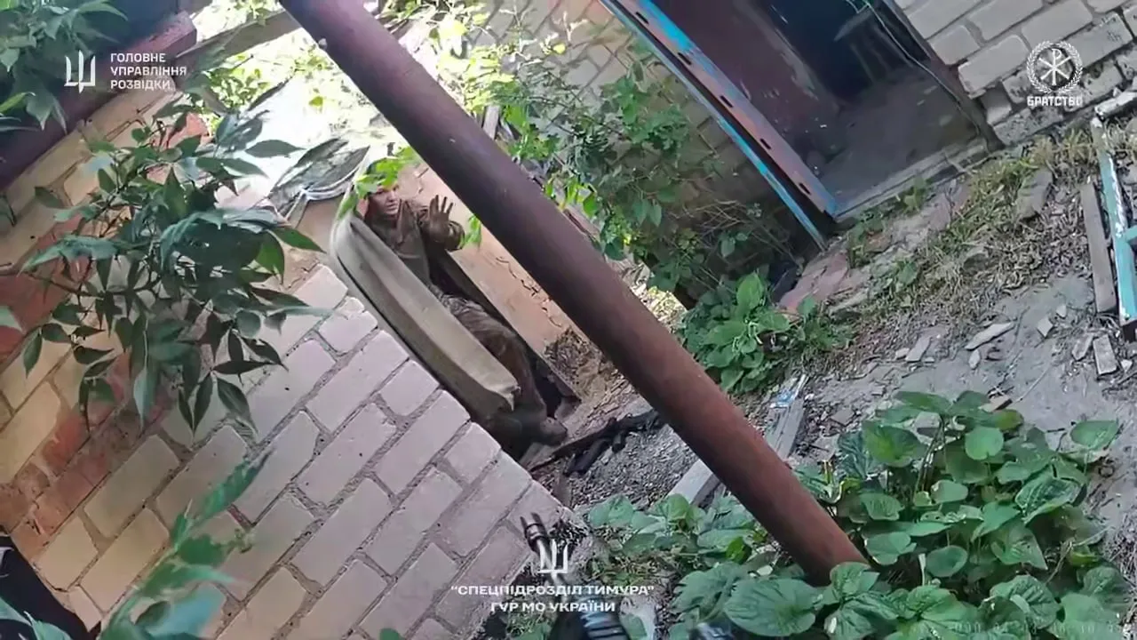 Видео: бойцы ГУР убедили российского оккупанта сложить оружие и сдаться в плен
