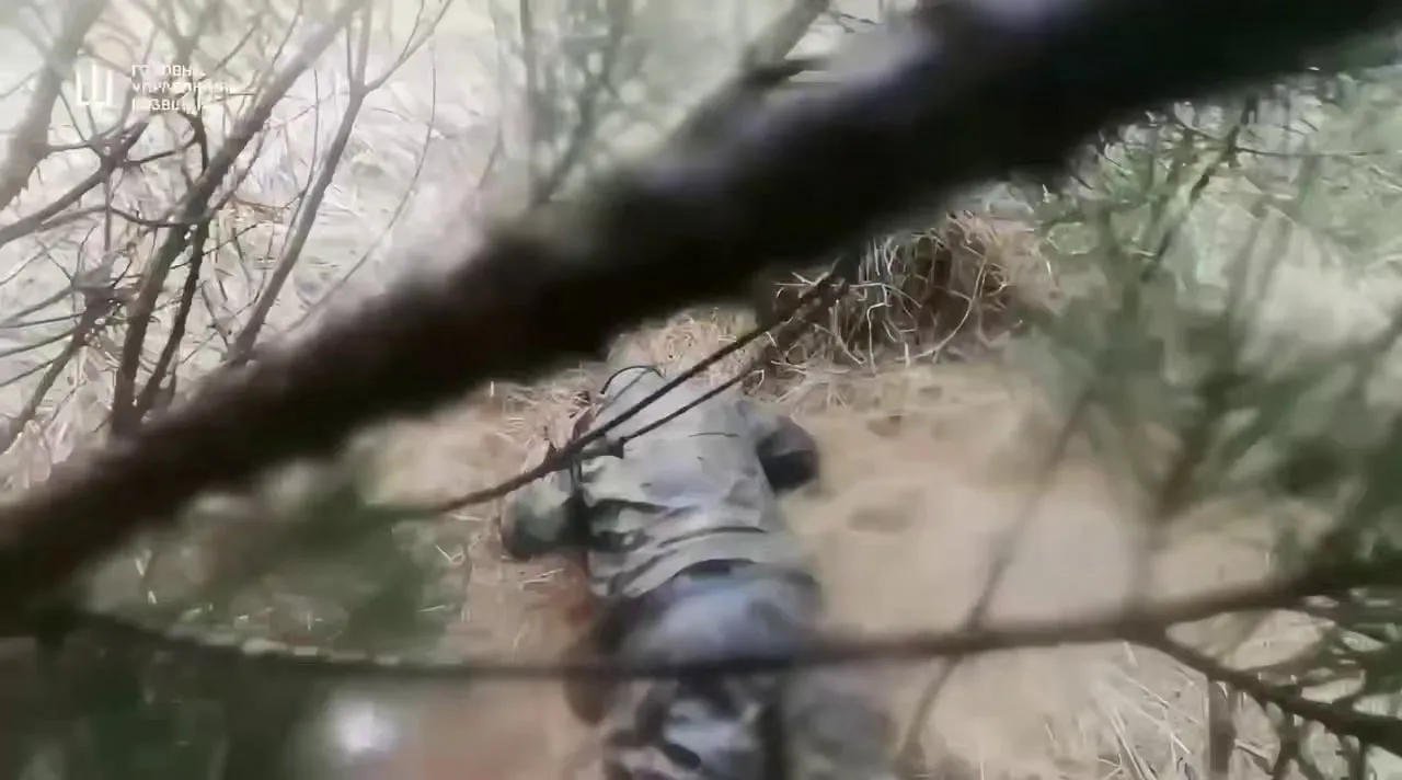 Видео: разведчики ВСУ на Запорожском направлении уничтожили оккупанта, спавшего на позиции