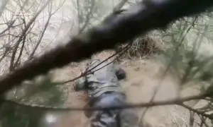 Генасамблея та Радбез ООН обговорять у вівторок наслідки російської війни проти України